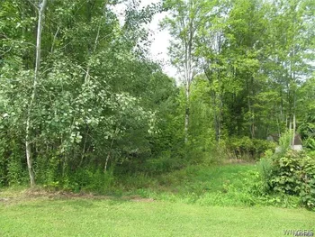 Property at V/L Valone Street, North Collins, NY 14111