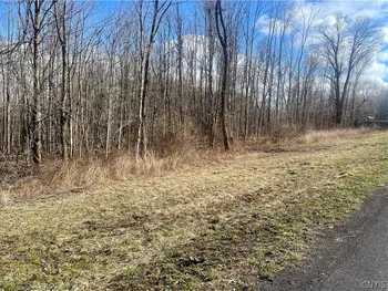 Property at 254 Lot 1 Kent Road, Hannibal, NY 13156