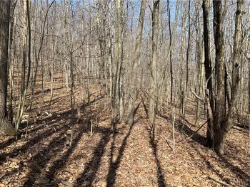Property at 3041 Hance Road, Binghamton, NY 13903