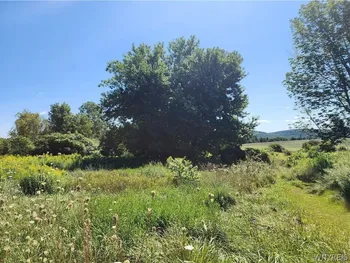 Property at 12059 Middle Road, Sardinia, NY 14055