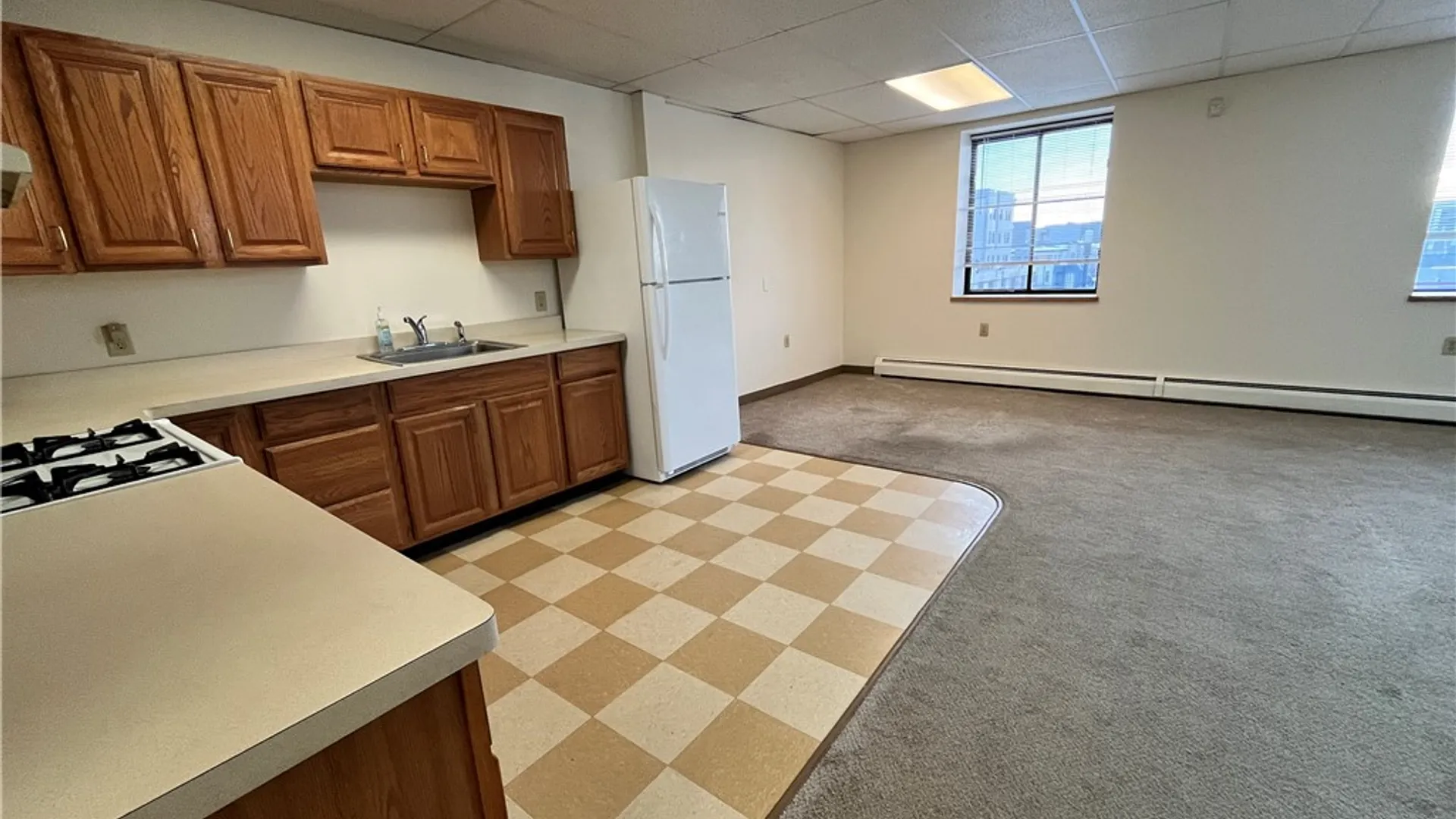 Property at 84 Scio Street, Rochester, NY 14604 23