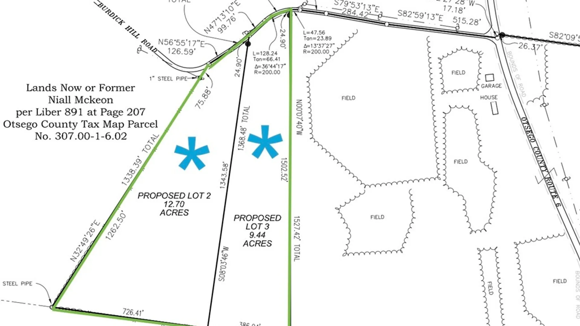 Property at Lots 2 and 3 Burdick Hill Road, Otego, NY 13825 2