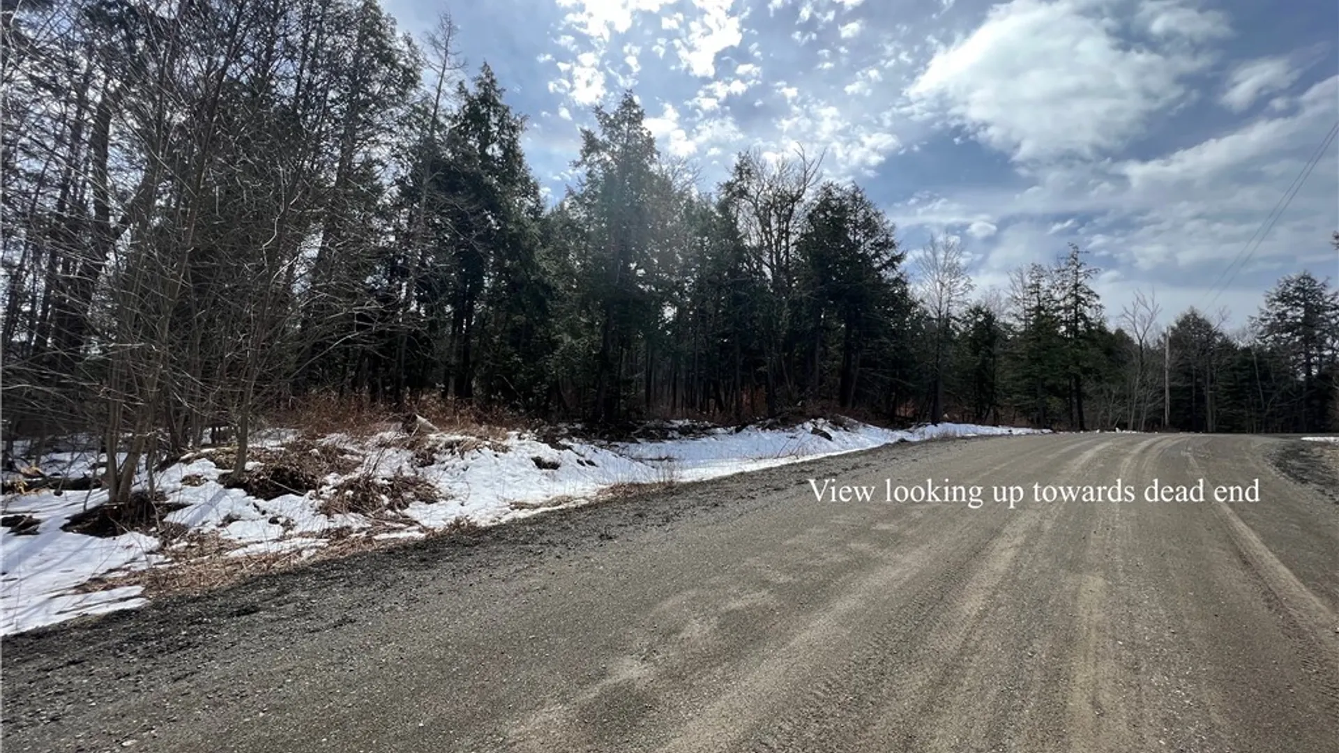 Property at Lot 3 Burdick Hill Road, Otego, NY 13825 5