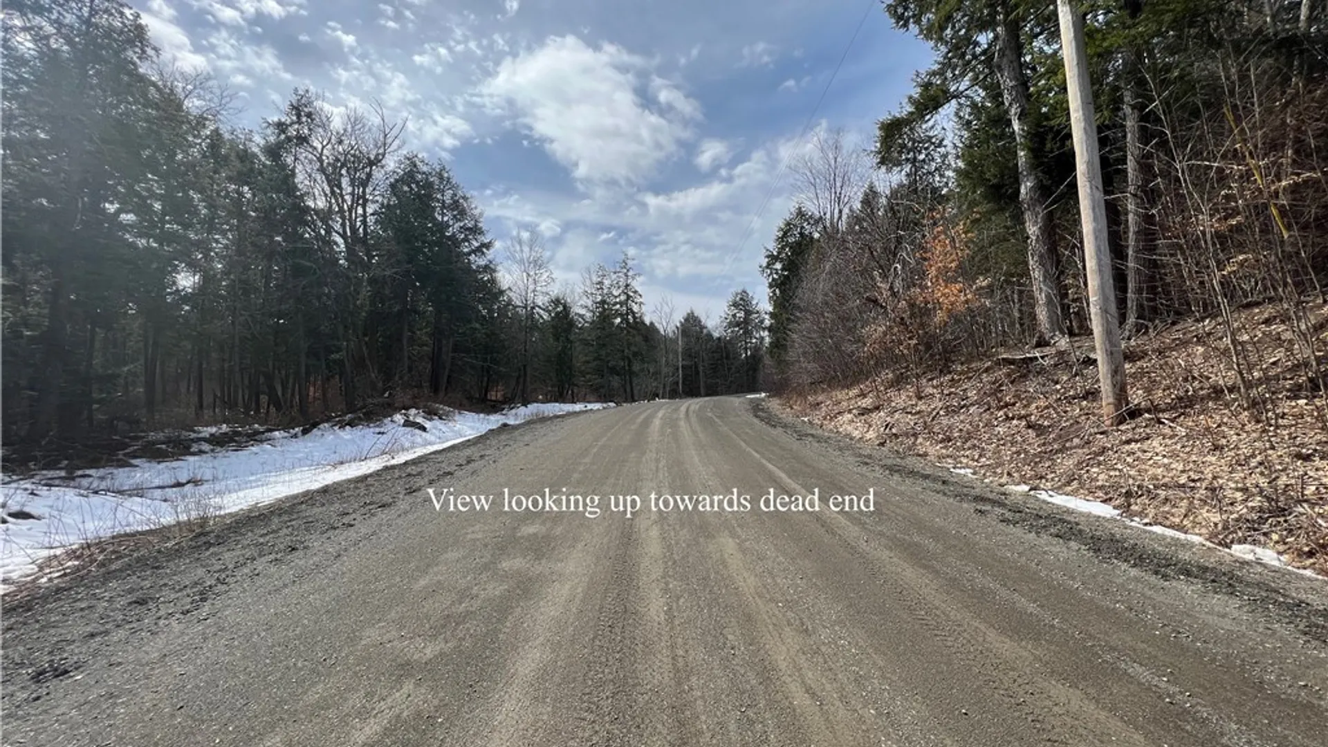 Property at Lot 3 Burdick Hill Road, Otego, NY 13825 6
