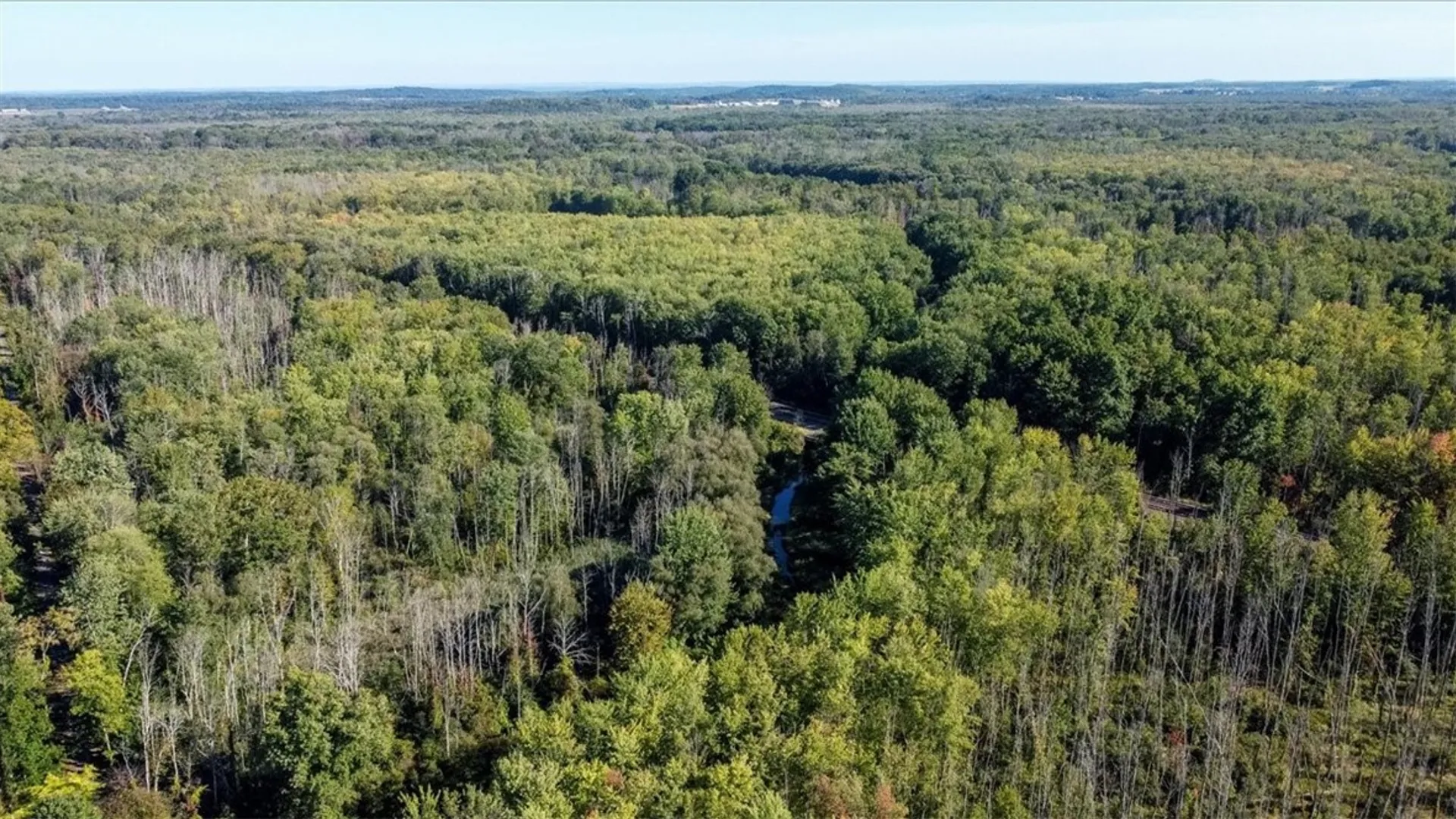 Property at VL Old Route 31, Galen, NY 14489 2