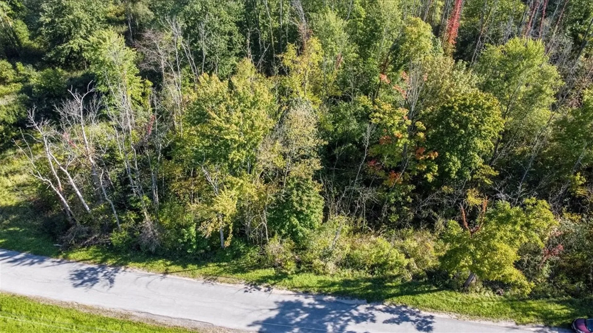 Property at VL Old Route 31, Galen, NY 14489 6