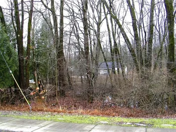 Property at 0 Mcclanathan Avenue, Vienna, NY 13157
