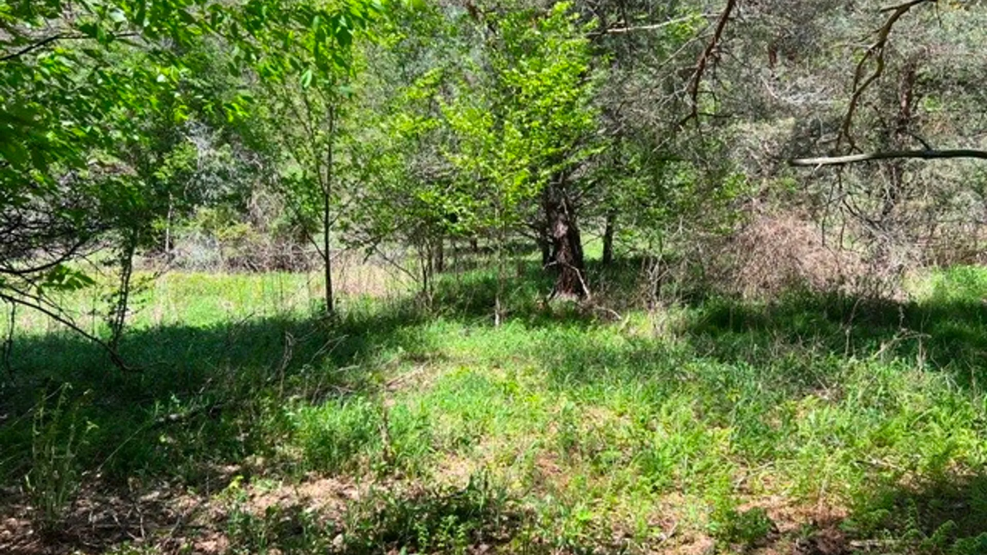 Property at 0 Clear Creek Road, Shippen Twp, PA 15834 11
