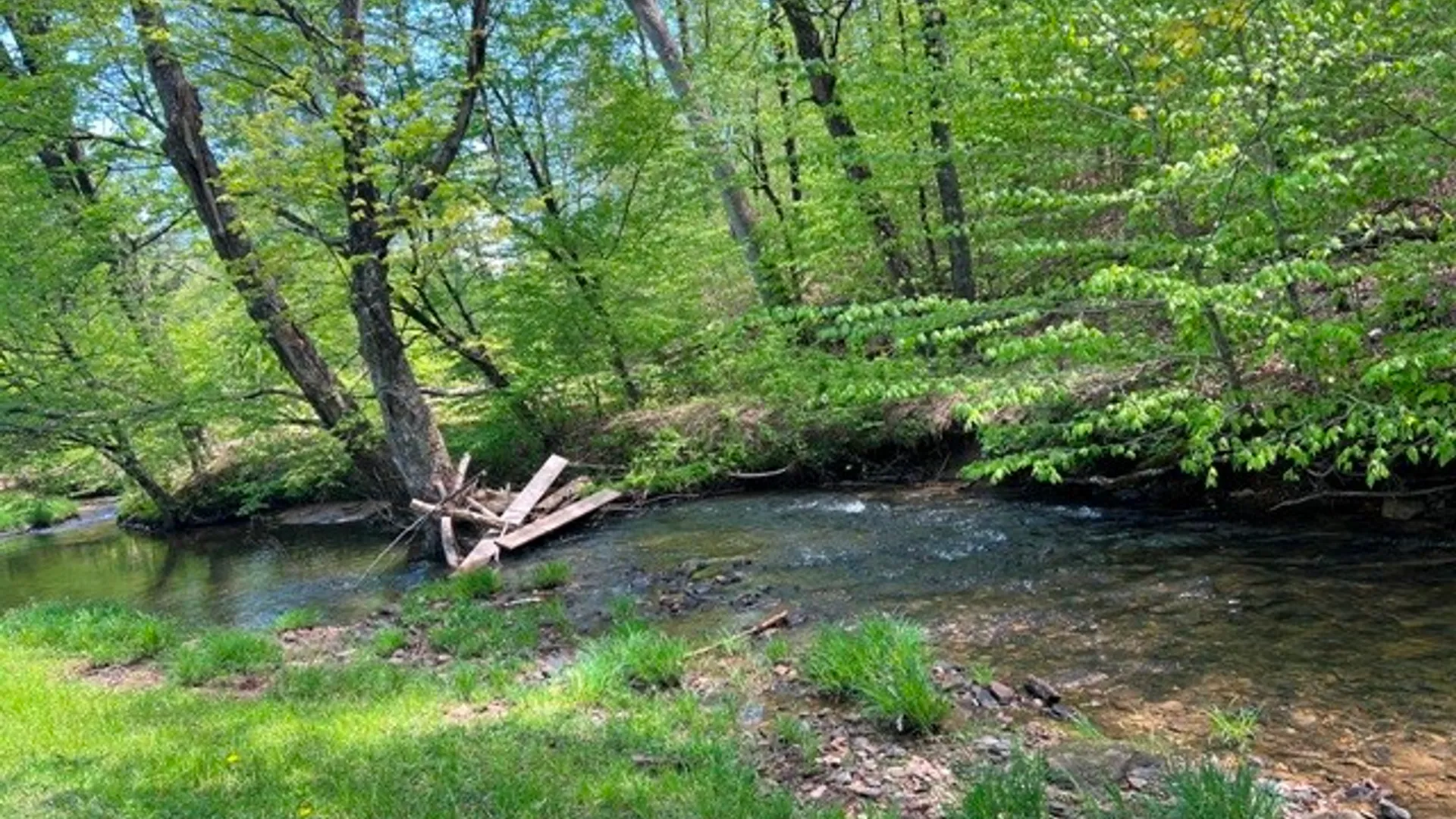 Property at 0 Clear Creek Road, Shippen Twp, PA 15834 14