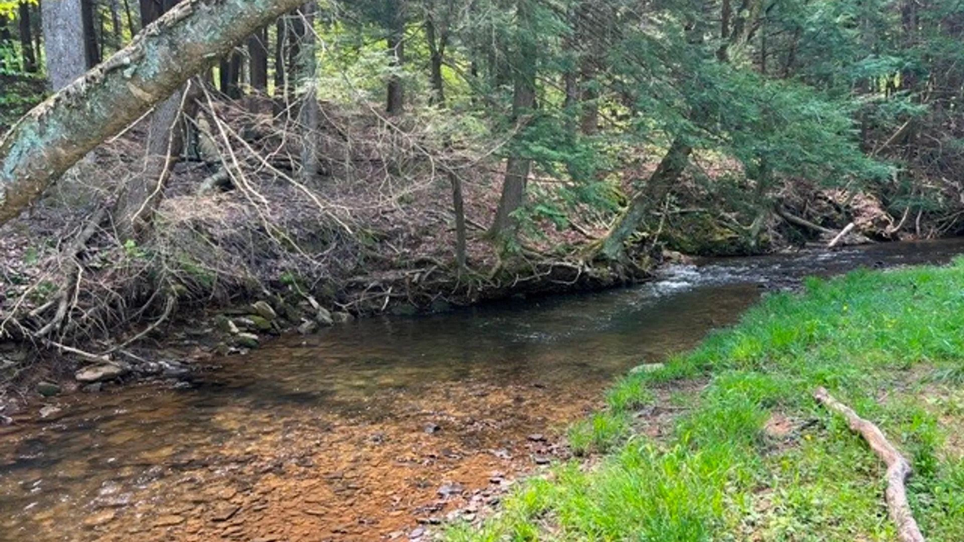 Property at 0 Clear Creek Road, Shippen Twp, PA 15834 15
