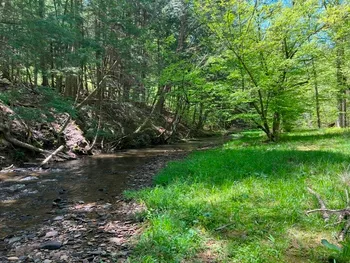 Property at 0 Clear Creek Road, Shippen Twp, PA 15834
