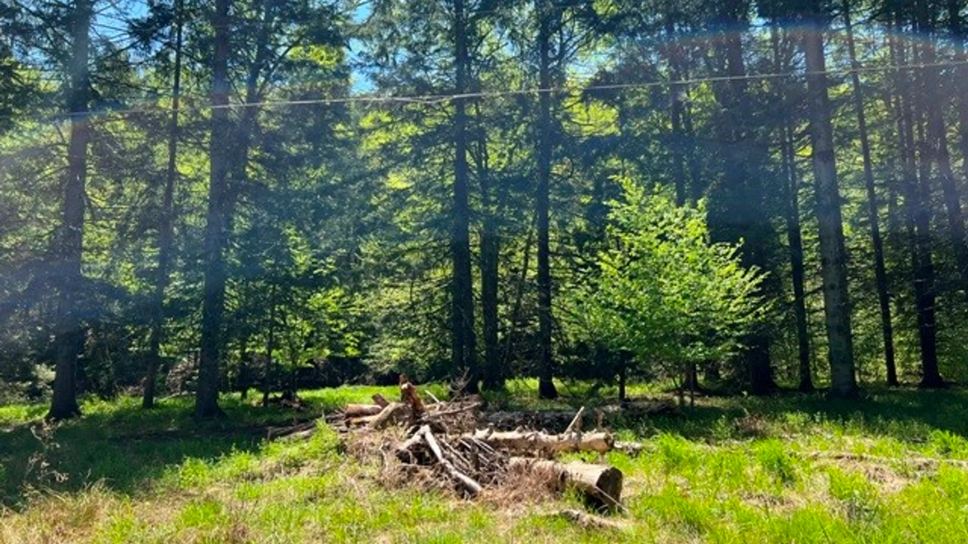 Property at 0 Clear Creek Road, Shippen Twp, PA 15834 21