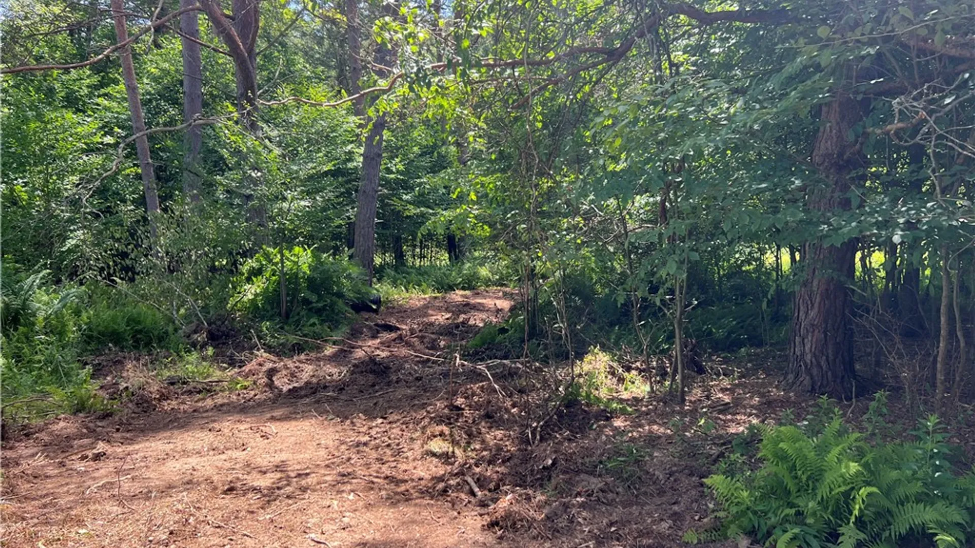 Property at 0 Clear Creek Road, Shippen Twp, PA 15834 23