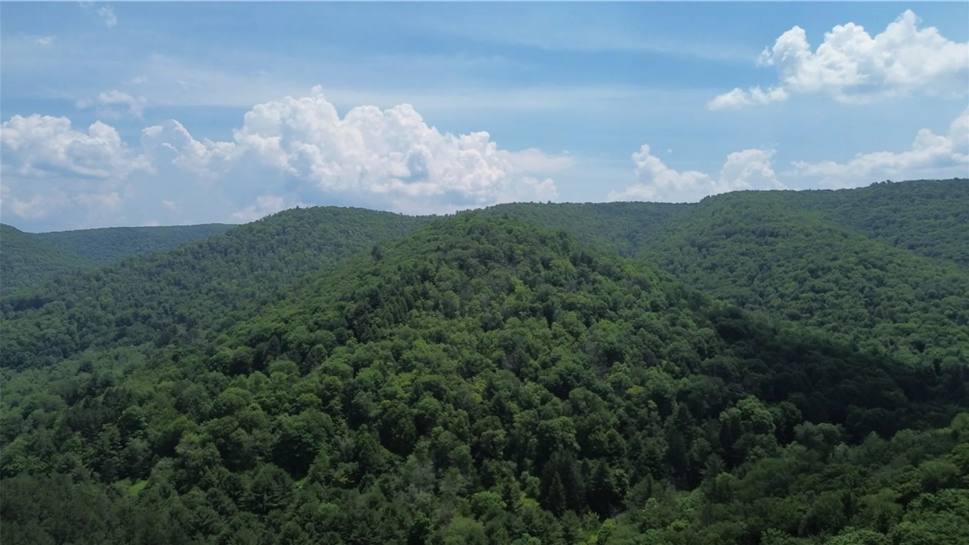 Property at 0 Clear Creek Road, Shippen Twp, PA 15834 29