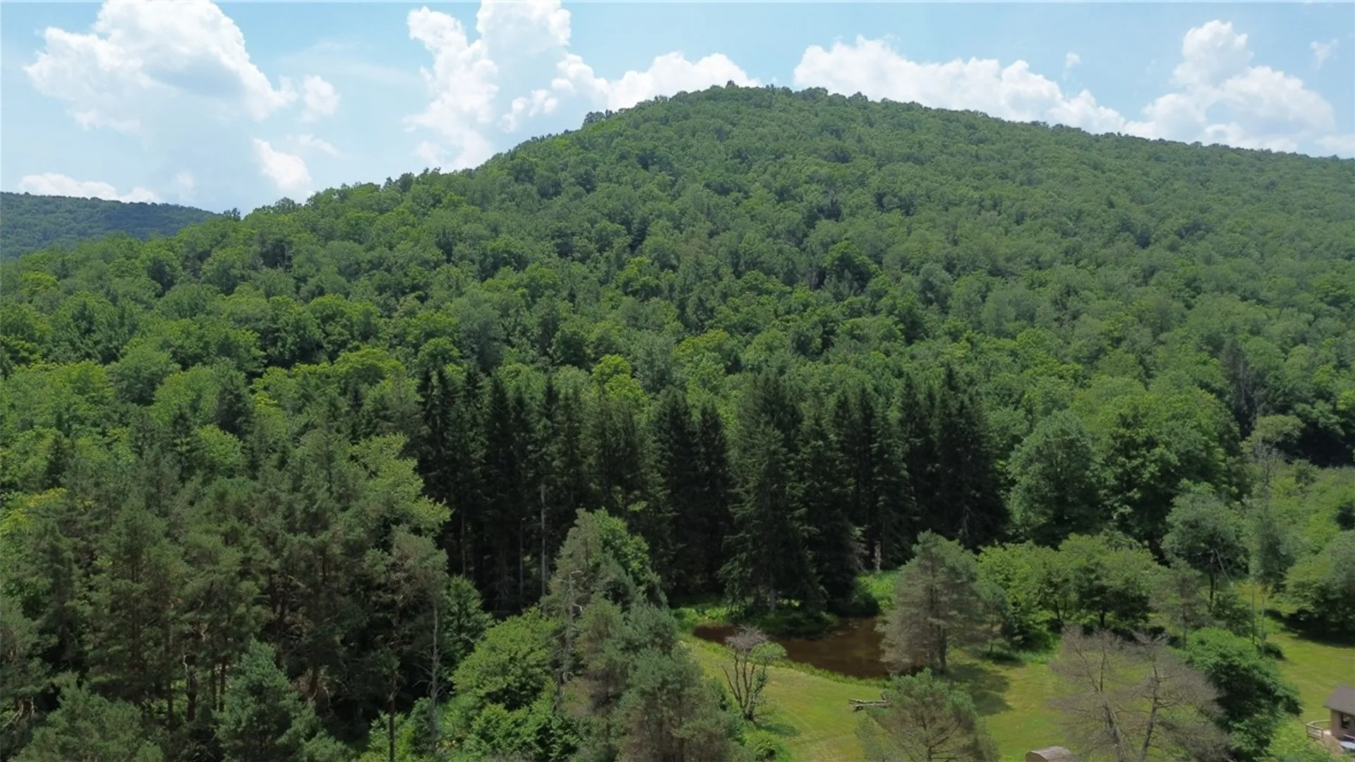 Property at 0 Clear Creek Road, Shippen Twp, PA 15834 30