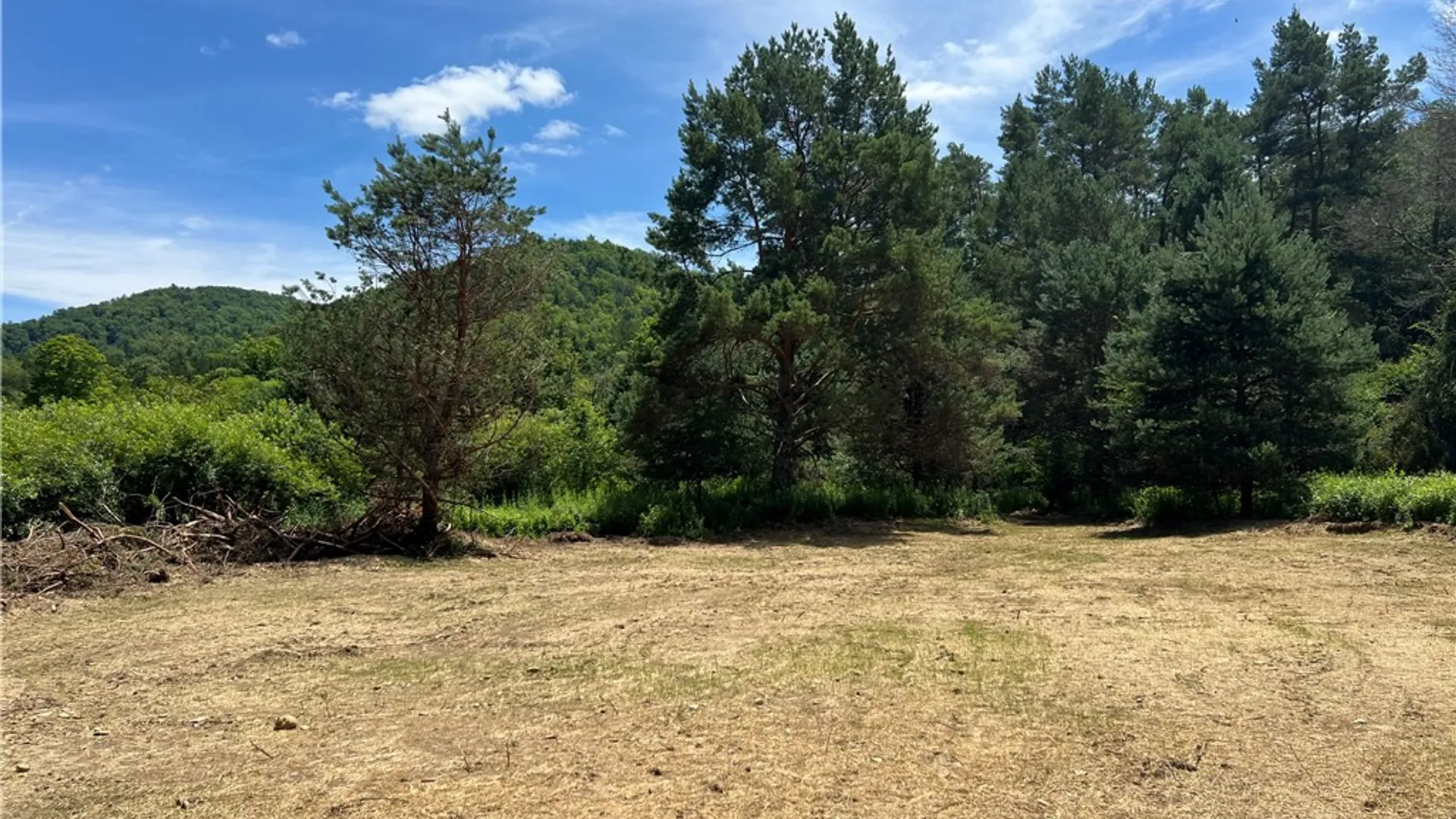 Property at 0 Clear Creek Road, Shippen Twp, PA 15834 4