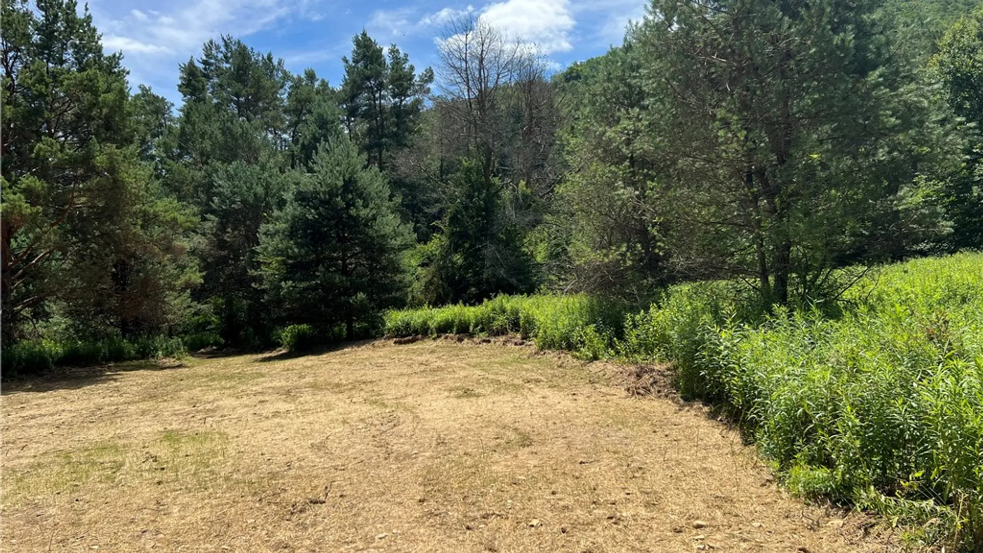 Property at 0 Clear Creek Road, Shippen Twp, PA 15834 5