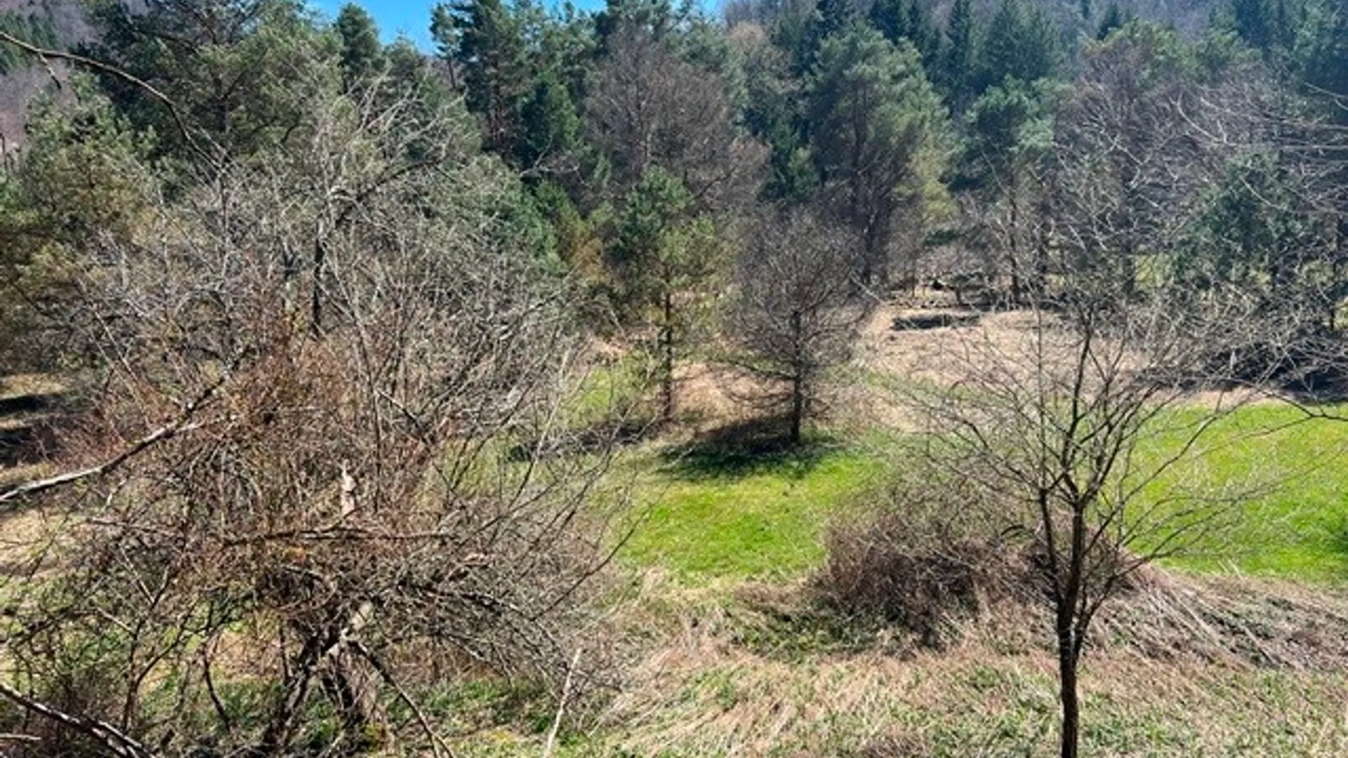Property at 0 Clear Creek Road, Shippen Twp, PA 15834 6