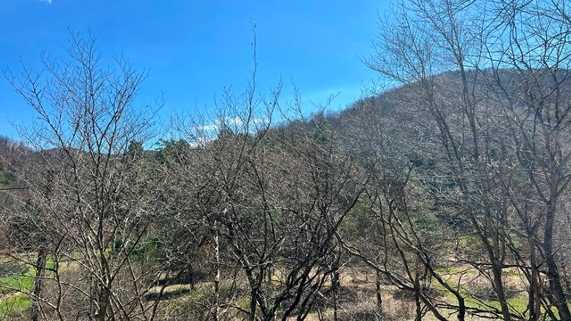 Property at 0 Clear Creek Road, Shippen Twp, PA 15834 7
