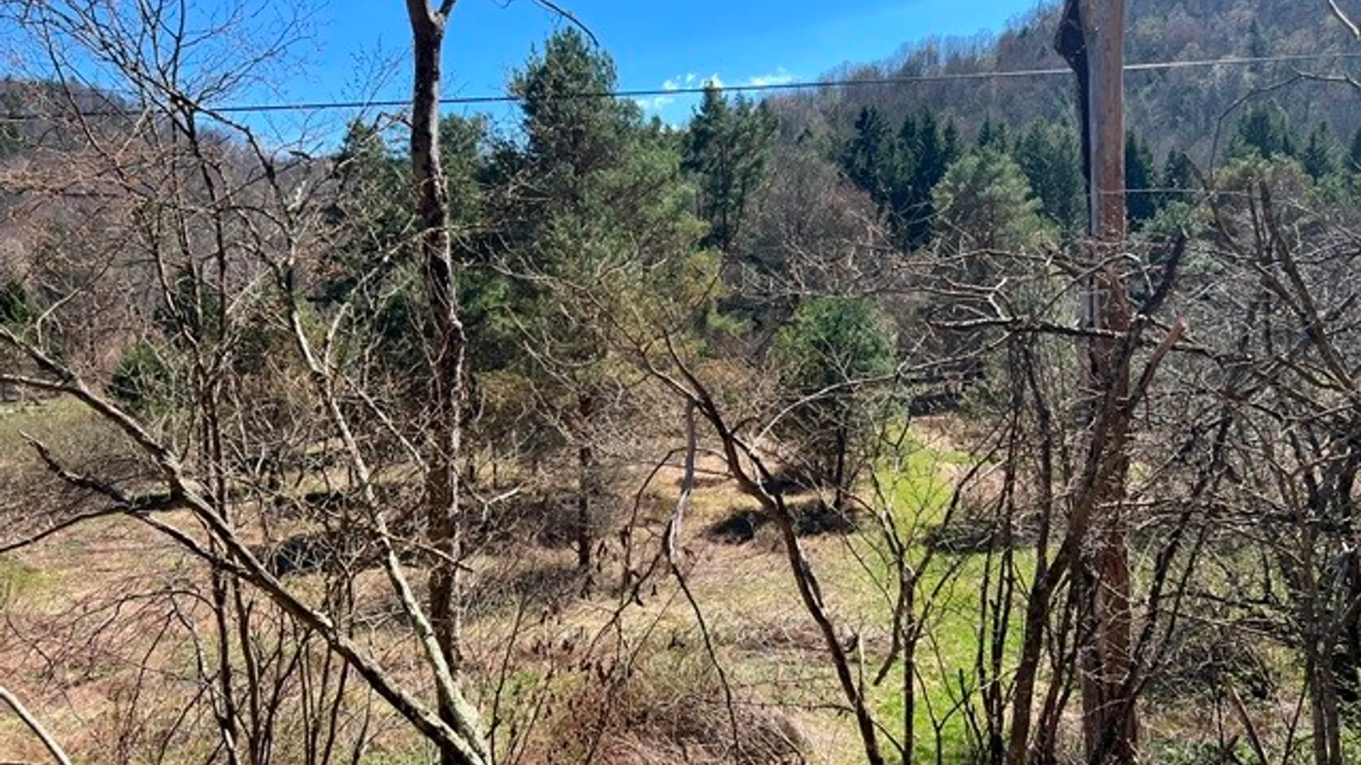 Property at 0 Clear Creek Road, Shippen Twp, PA 15834 8