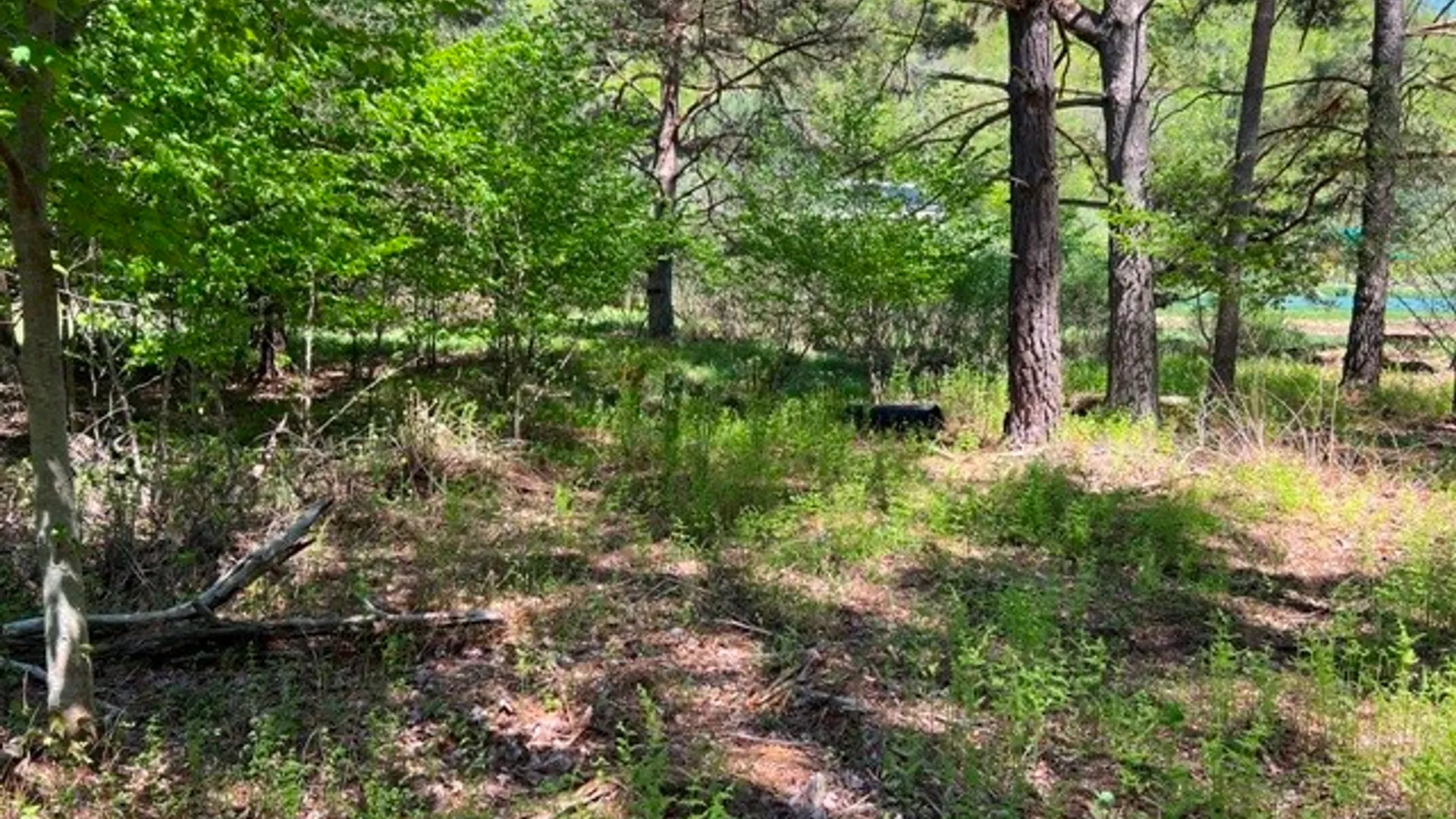 Property at 0 Clear Creek Road, Shippen Twp, PA 15834 9