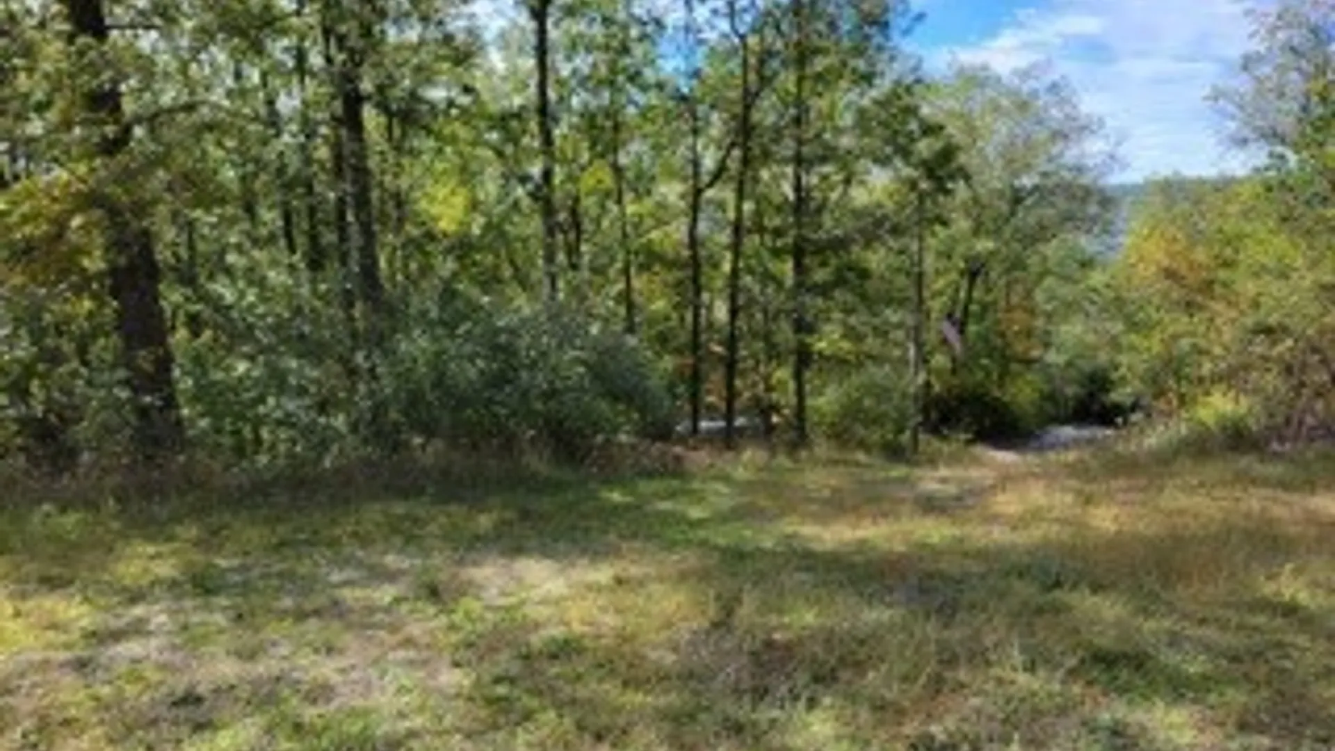 Property at 43 Hillcrest Drive, Erwin, NY 14870 11