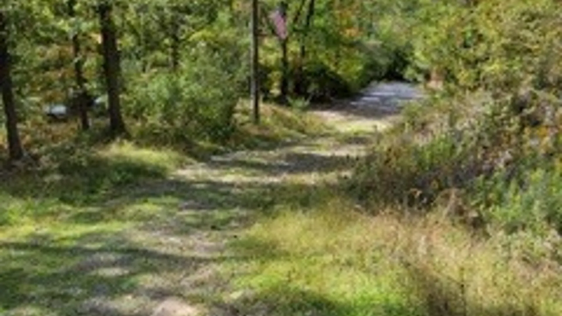 Property at 43 Hillcrest Drive, Erwin, NY 14870 8