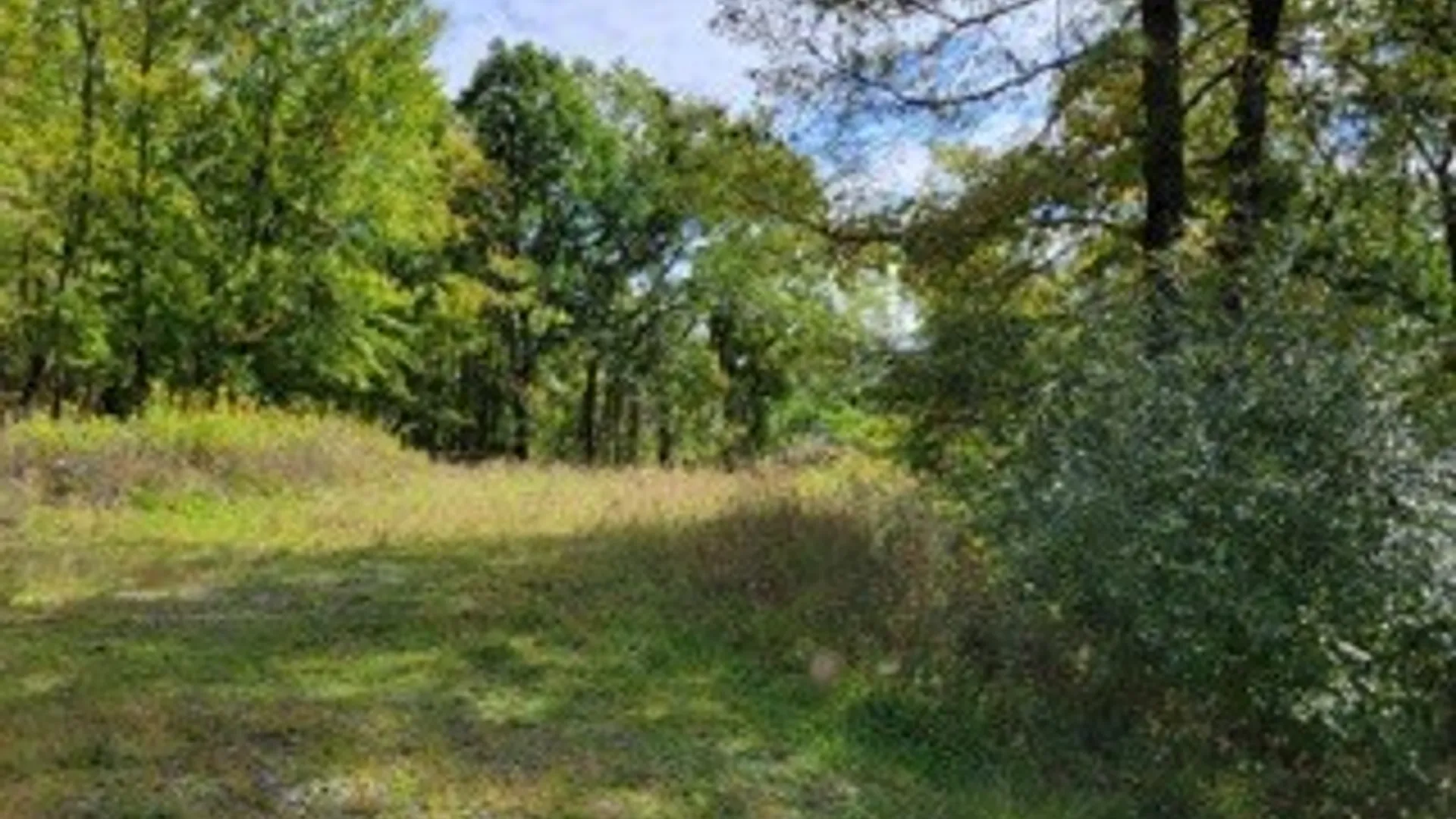 Property at 43 Hillcrest Drive, Erwin, NY 14870 9