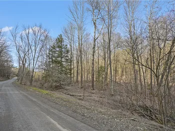 Property at L32.06 Eggleston Hill Road, Middlefield, NY 13326