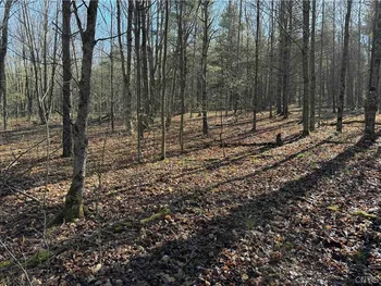 Property at 00 Neu Road, Dansville, NY 14807