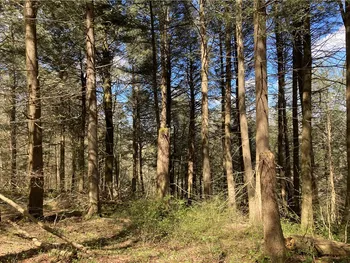 Property at 0 Boulder Mountain Road, Andes, NY 13731