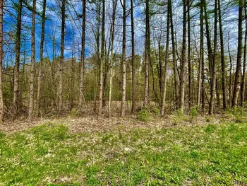 Property at 0 Cr-48, Albion, NY 13302