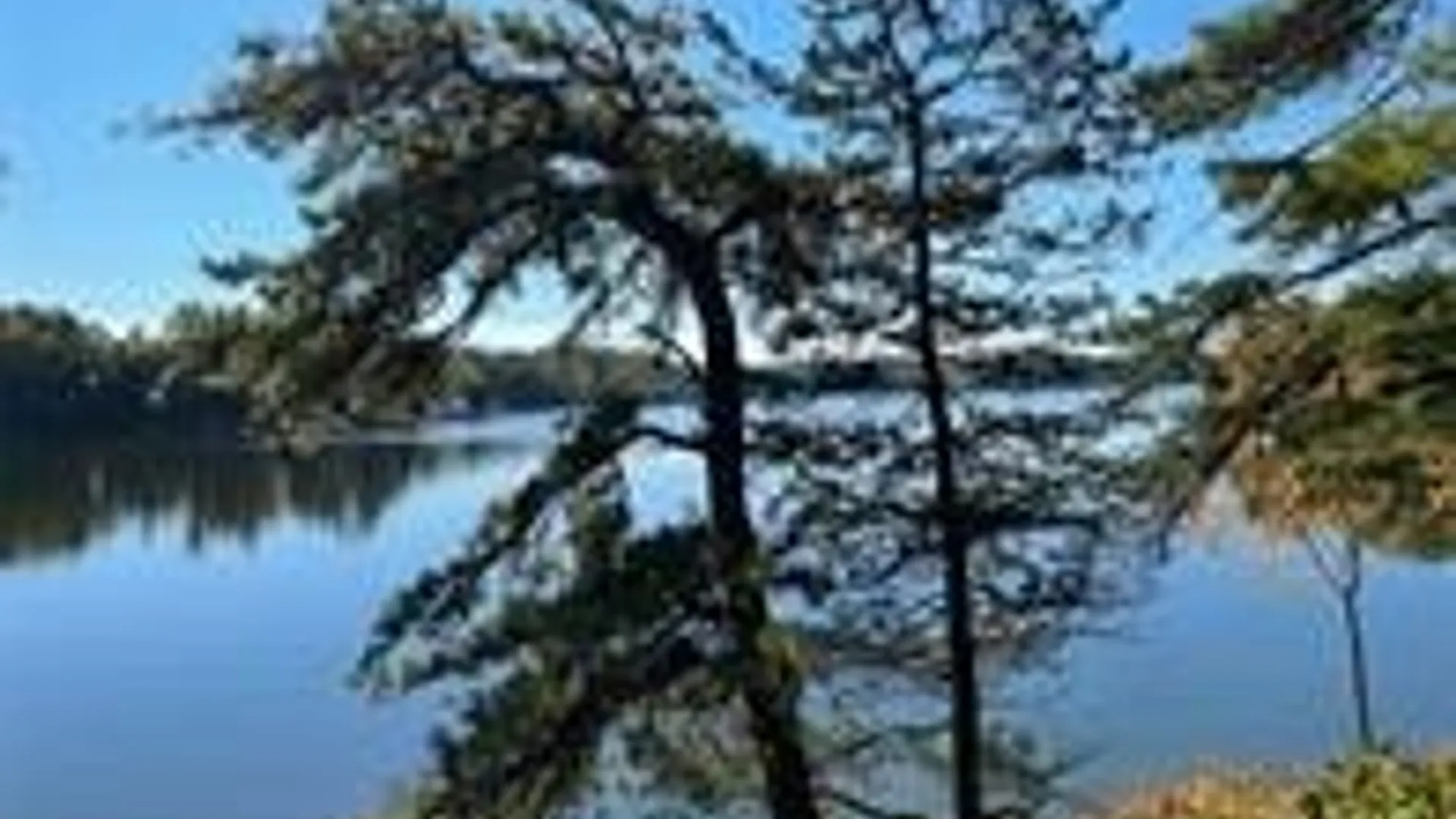 Property at 0 Big Island/Lot 10, Hammond, NY 13664 2