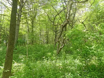 Property at Lot 19 Orchard Lane, Bovina, NY 13740