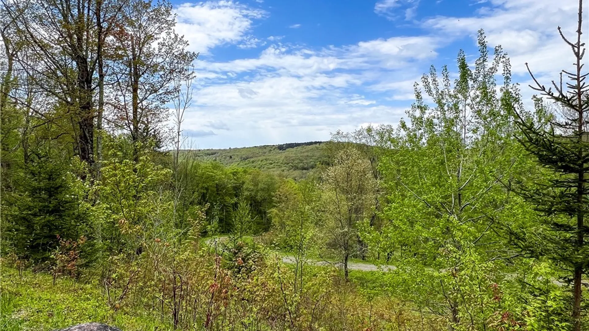 Property at Lot # 10 State Route 28, Andes, NY 13731 11