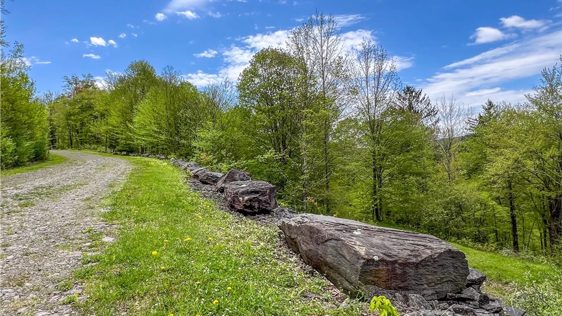 Property at Lot # 10 State Route 28, Andes, NY 13731 12