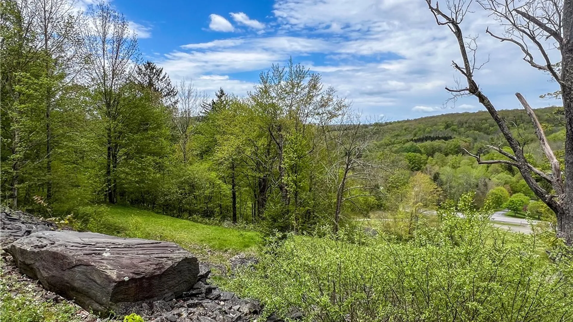 Property at Lot # 10 State Route 28, Andes, NY 13731 13