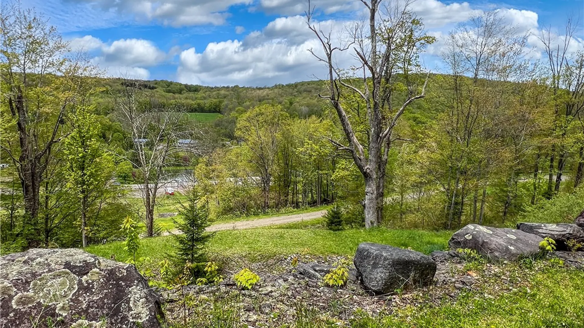Property at Lot # 10 State Route 28, Andes, NY 13731 14