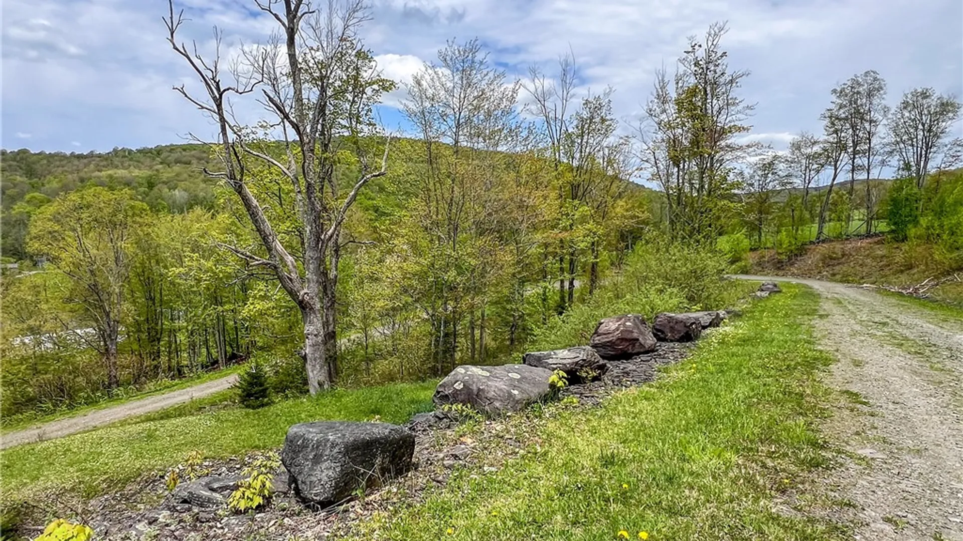 Property at Lot # 10 State Route 28, Andes, NY 13731 15