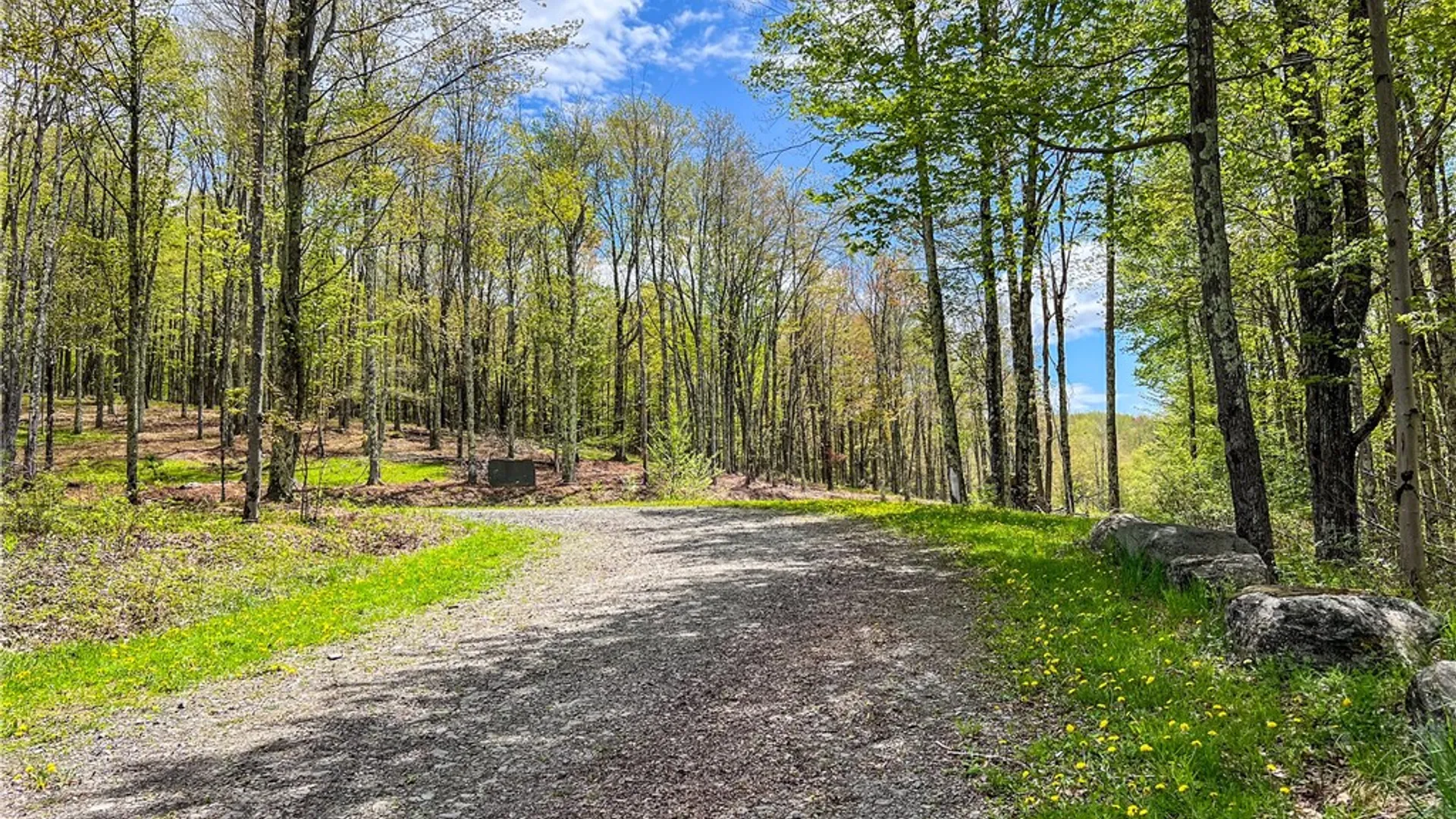 Property at Lot # 10 State Route 28, Andes, NY 13731 16