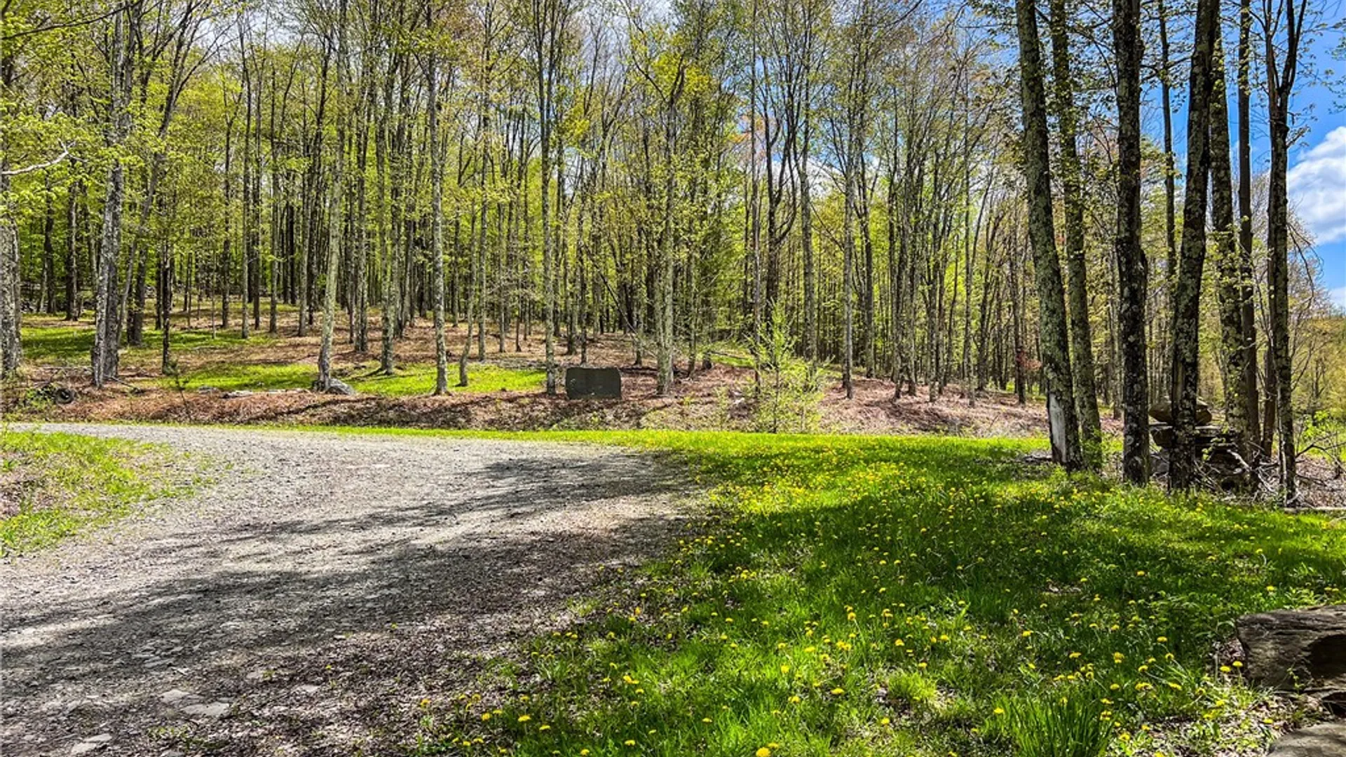 Property at Lot # 10 State Route 28, Andes, NY 13731 17