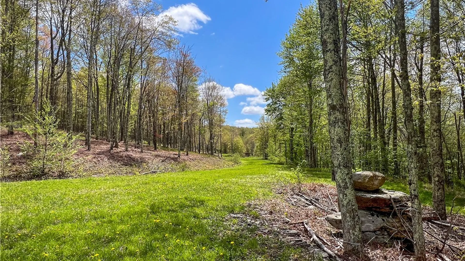 Property at Lot # 10 State Route 28, Andes, NY 13731 18