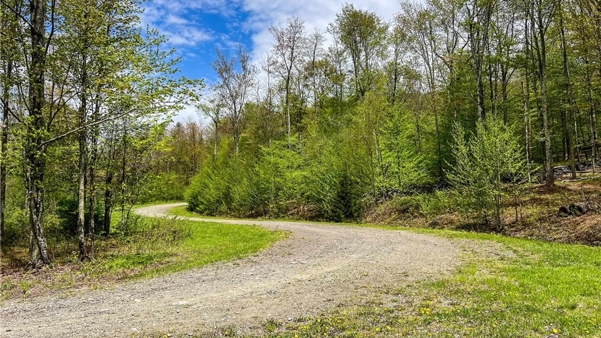 Property at Lot # 10 State Route 28, Andes, NY 13731 19
