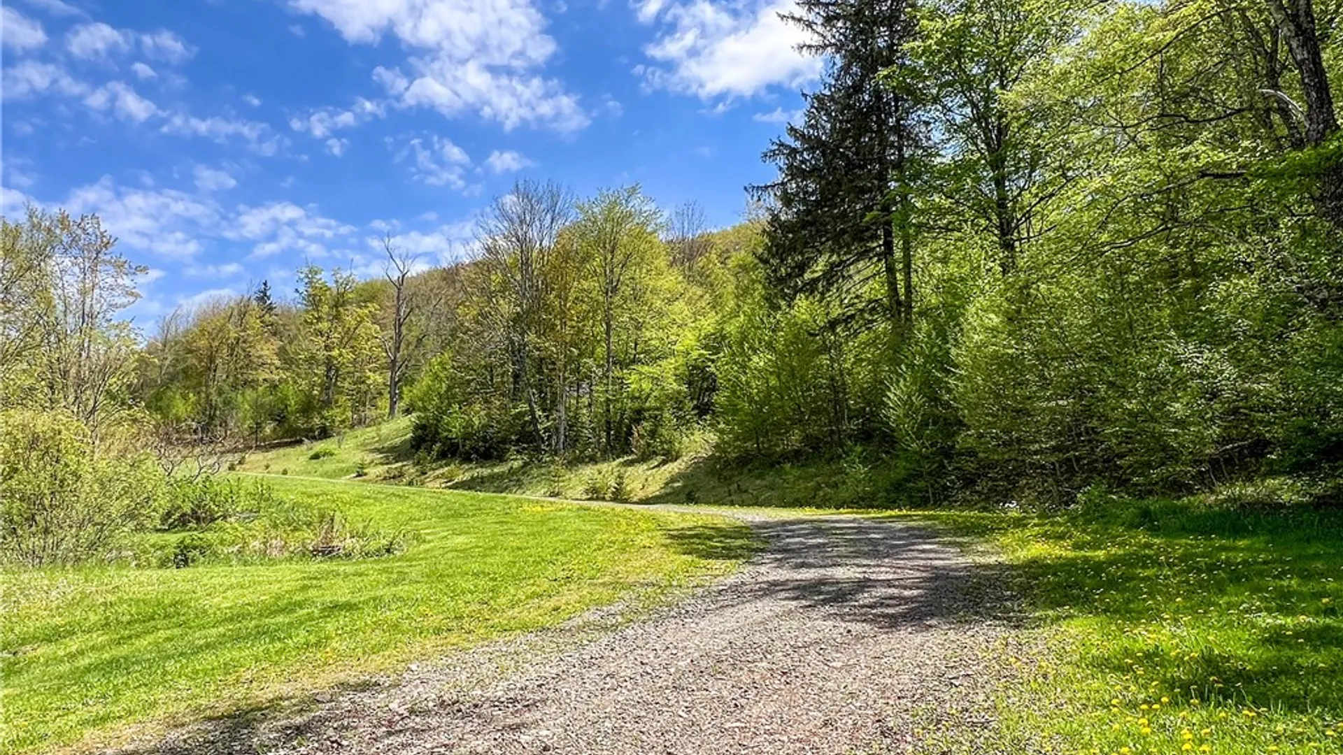 Property at Lot # 10 State Route 28, Andes, NY 13731 2