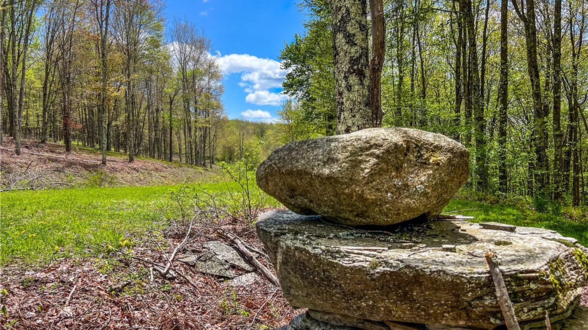 Property at Lot # 10 State Route 28, Andes, NY 13731 20