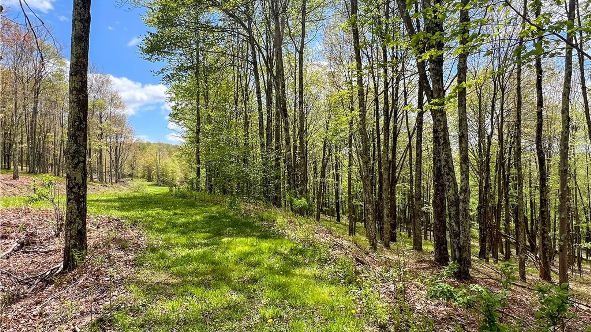 Property at Lot # 10 State Route 28, Andes, NY 13731 21