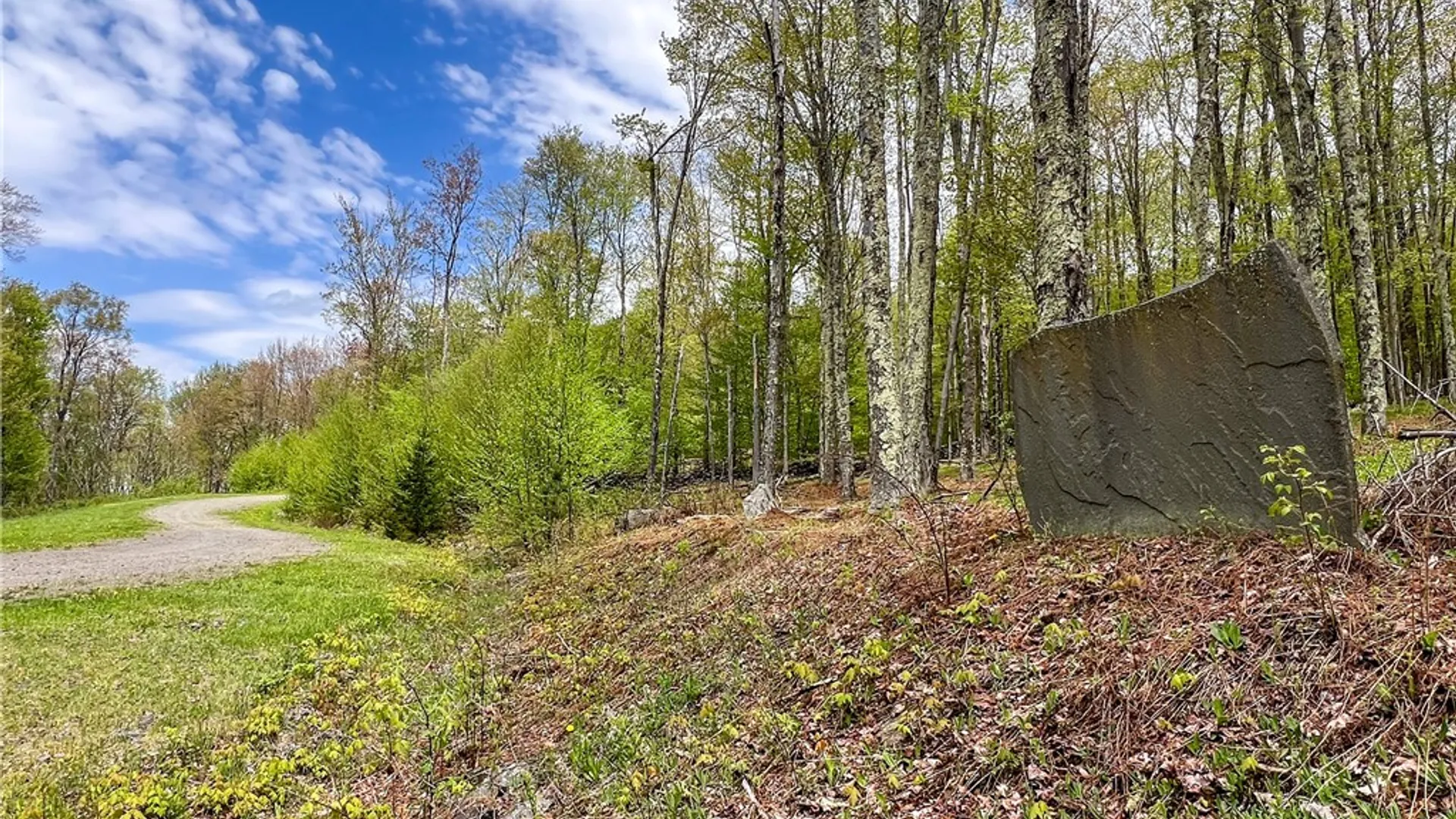 Property at Lot # 10 State Route 28, Andes, NY 13731 22