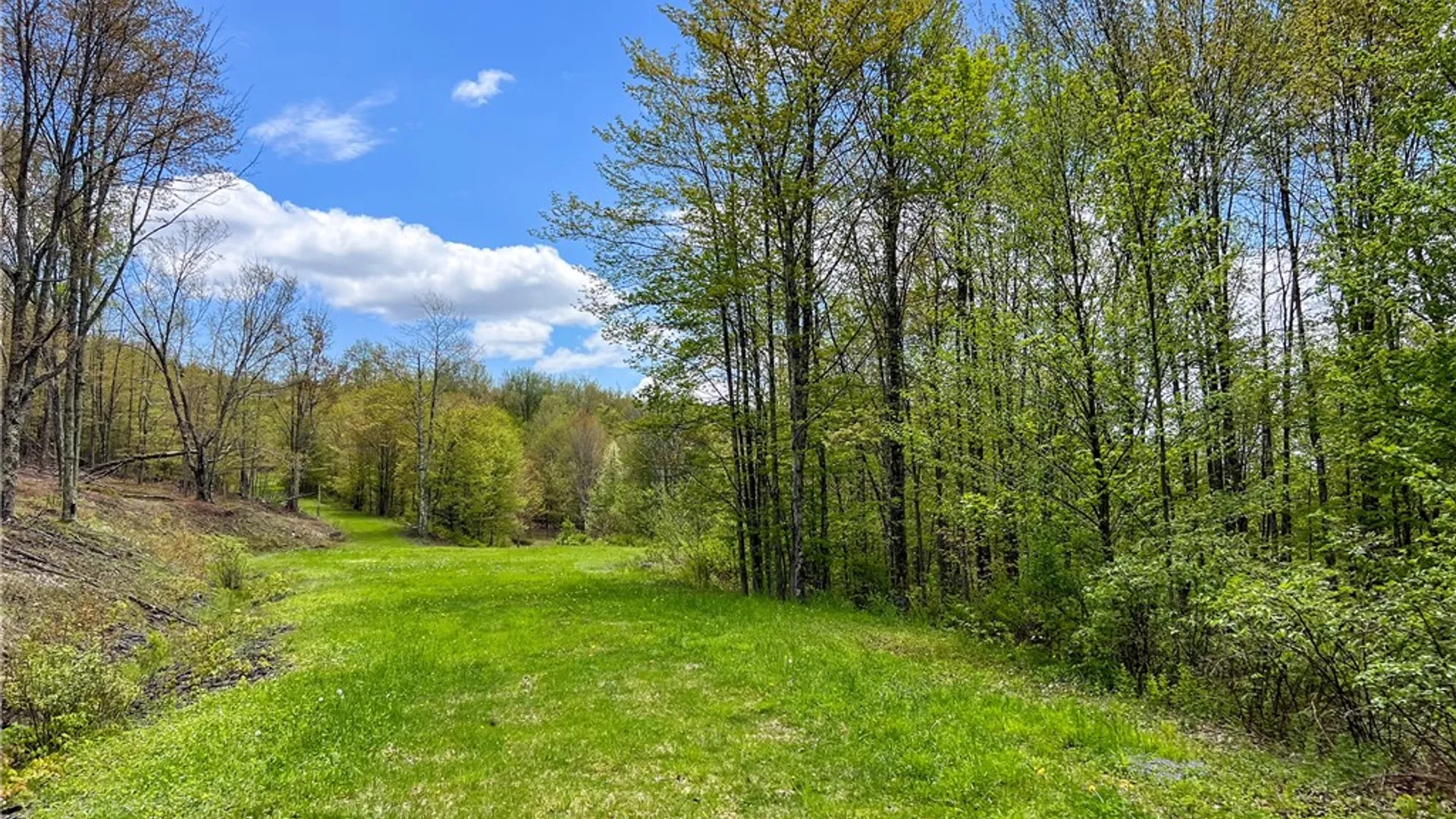 Property at Lot # 10 State Route 28, Andes, NY 13731 23
