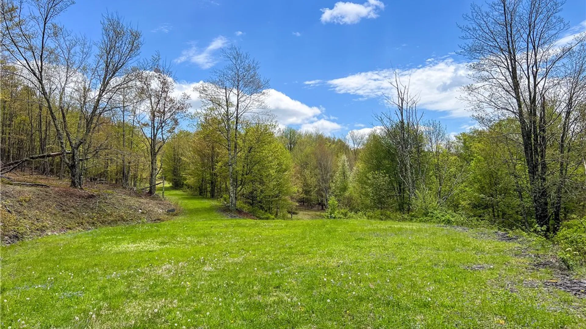 Property at Lot # 10 State Route 28, Andes, NY 13731 24