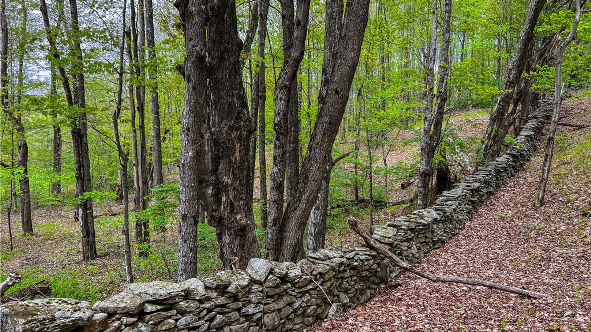 Property at Lot # 10 State Route 28, Andes, NY 13731 25